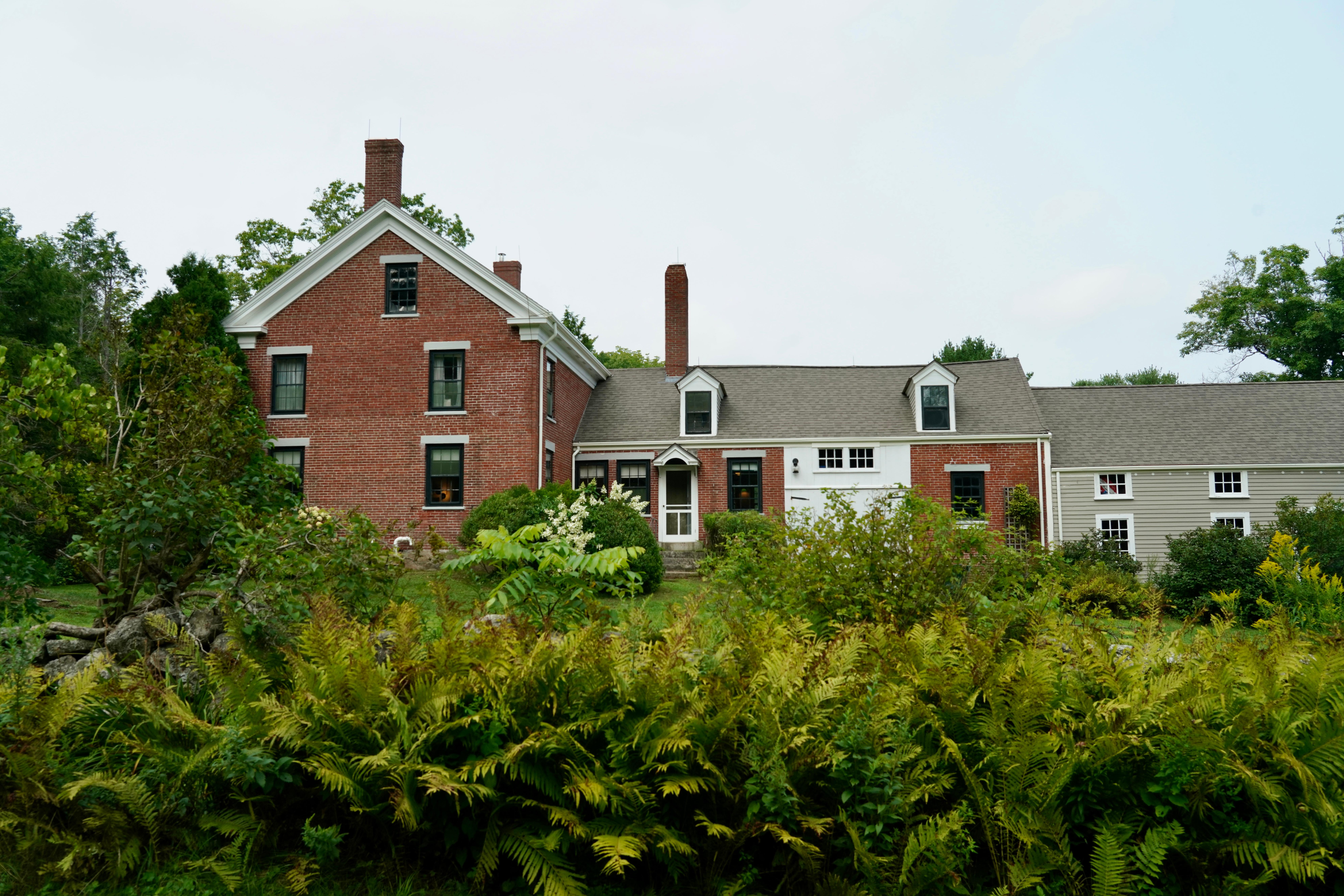 A two-story red brick home stands just beyond a row of green ferns.