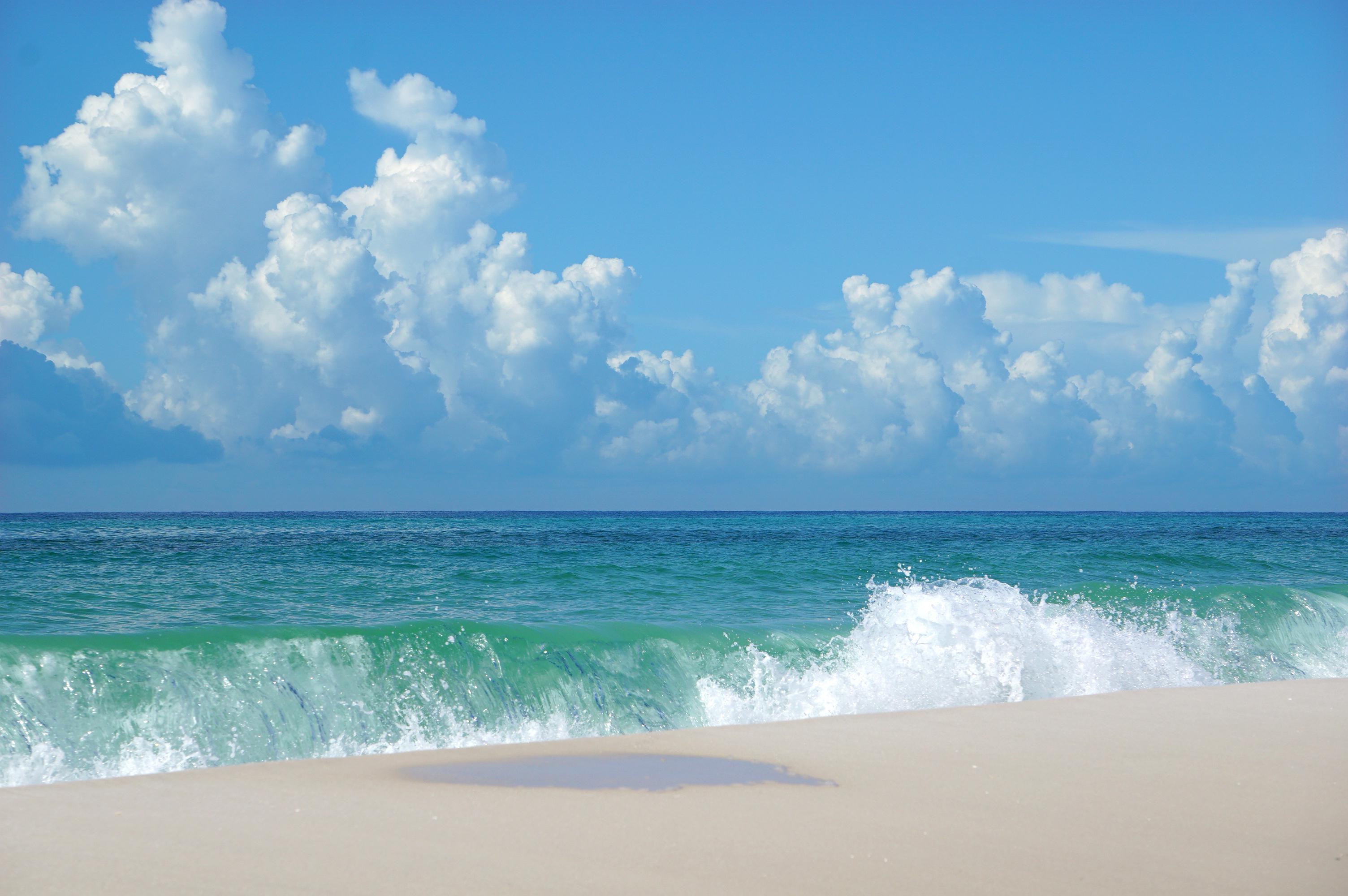 White sand and green water