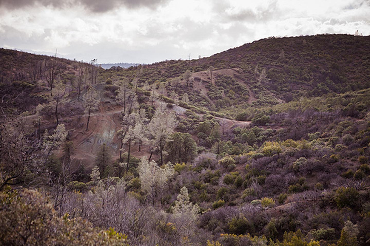 Knoxville Recreation Area