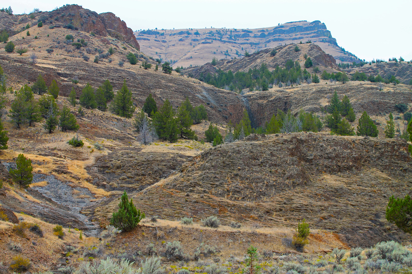 A view of the north portion of Sutton Mountain WSA