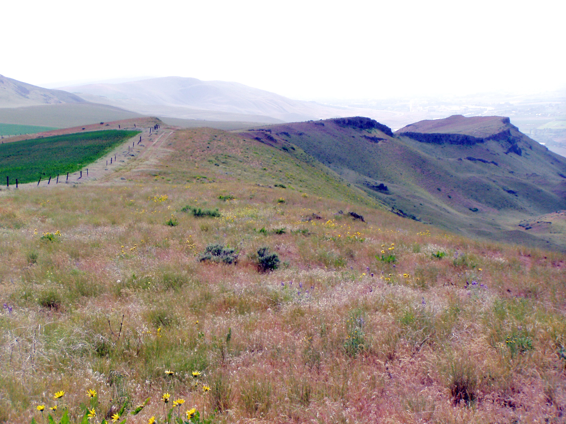 View from West Ridge Road.