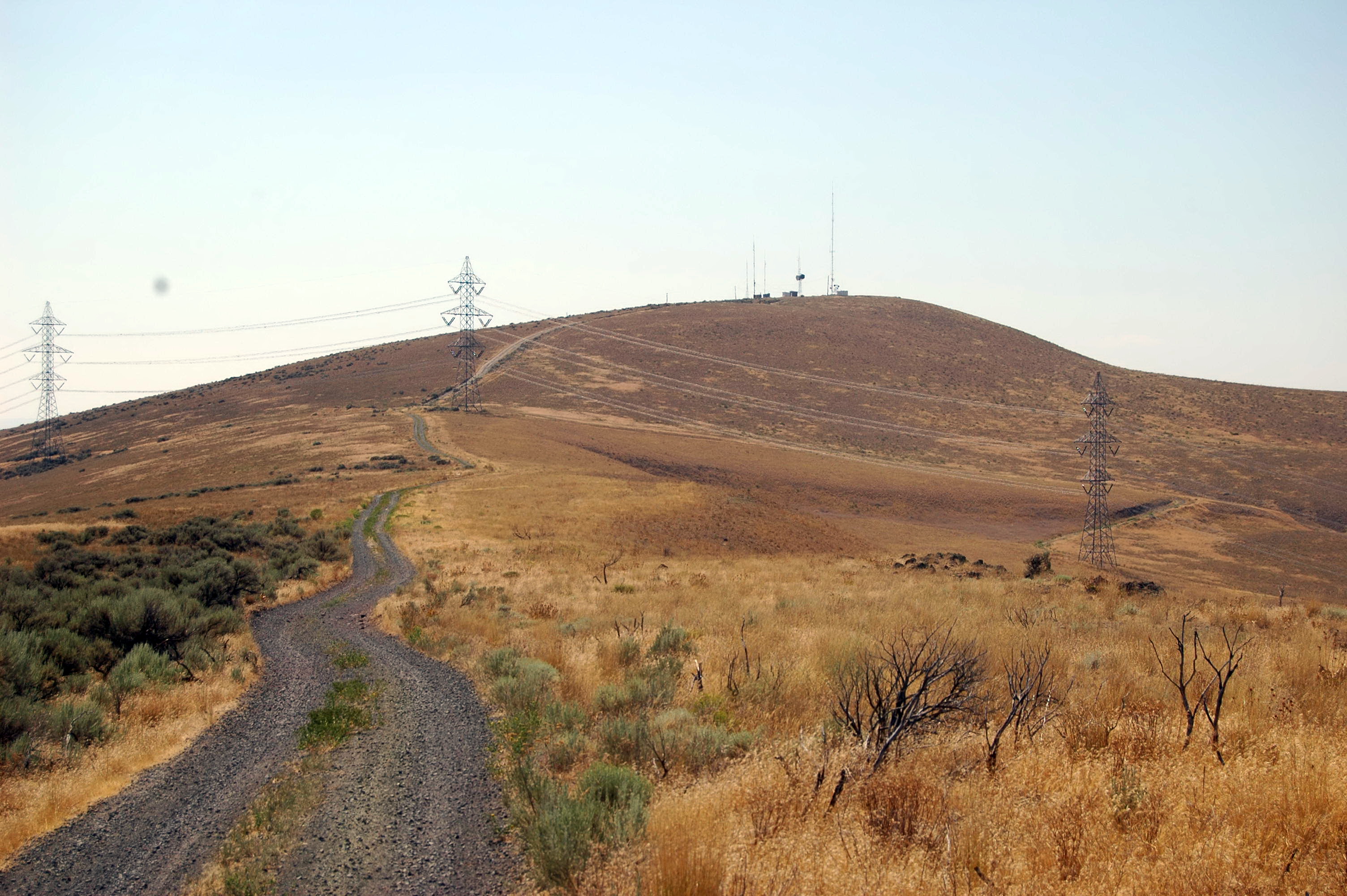 View near top of Horse Heaven Hills.