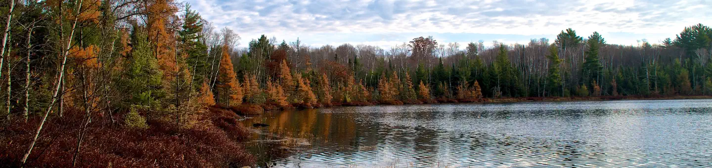 Chequamegon-Nicolet National Forest