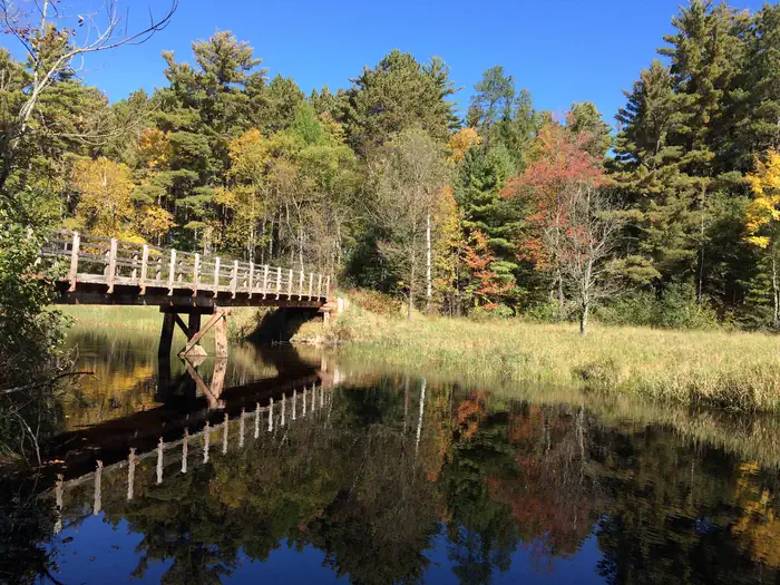 Fall colors