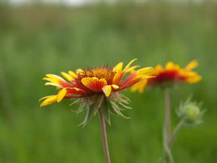 Audubon National Wildlife Refuge