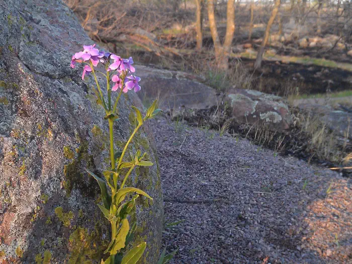 Big Stone National Wildlife Refuge