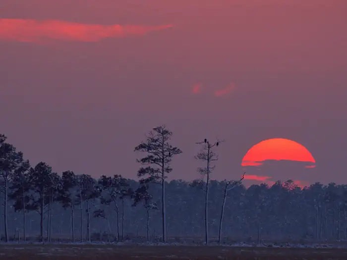 Blackwater National Wildlife Refuge