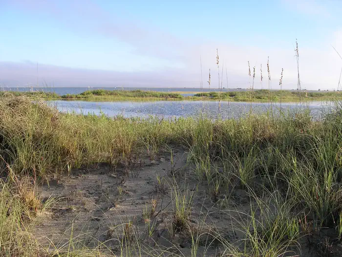 Cape Romain National Wildlife Refuge