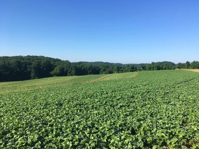 Brandywine Valley