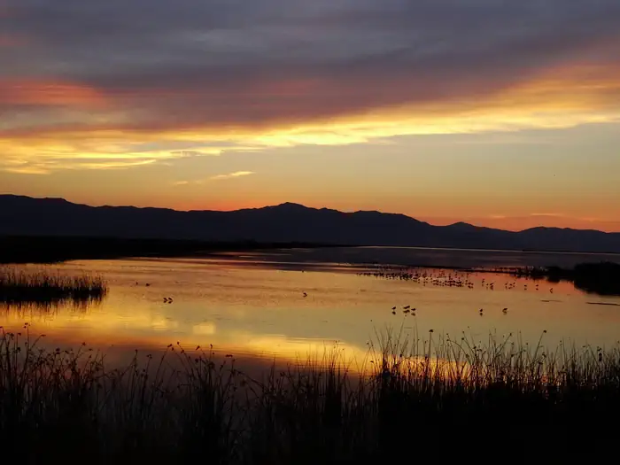 Bear River Migratory Bird Refuge