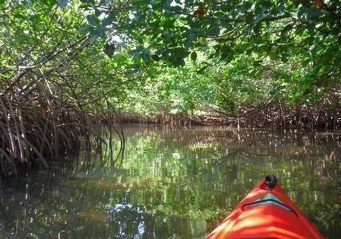 Kayaking at the Jupiter Inlet Lighthouse ONA