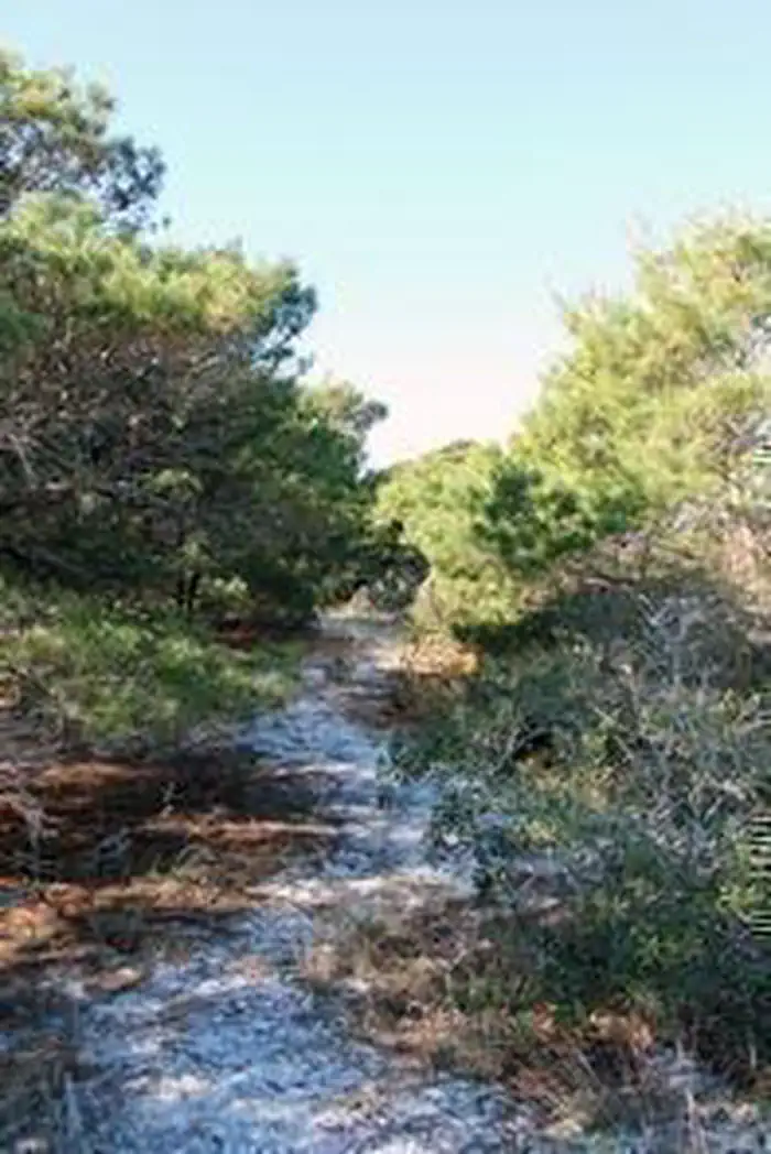 Hiking at the Jupiter Inlet Lighthouse Outstanding Natural Area