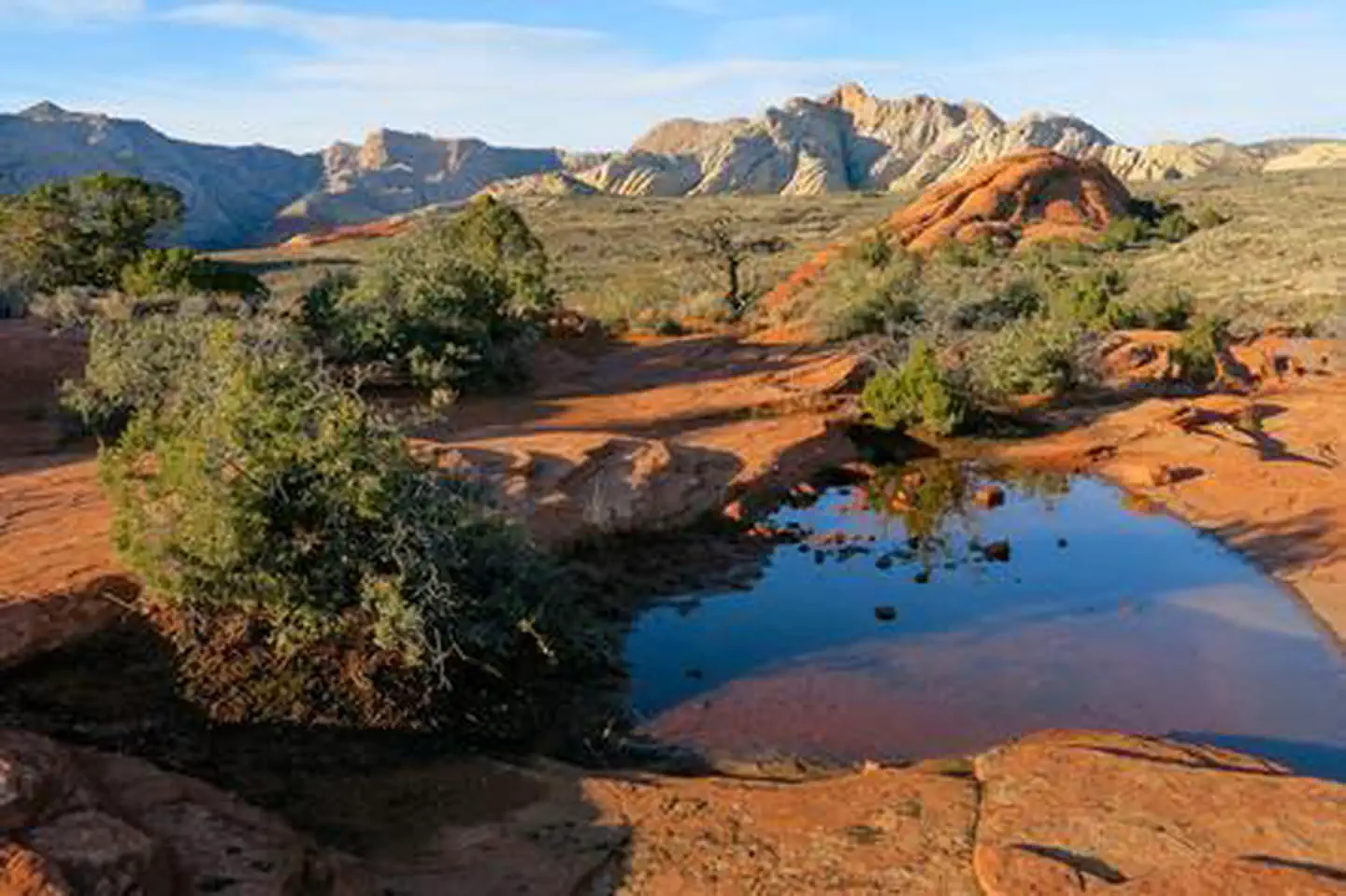 Snow Canyon State Park