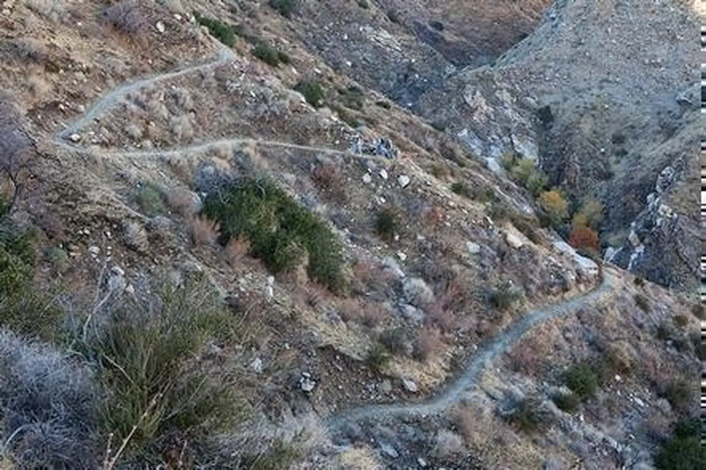 Pacific Crest National Scenic Trail