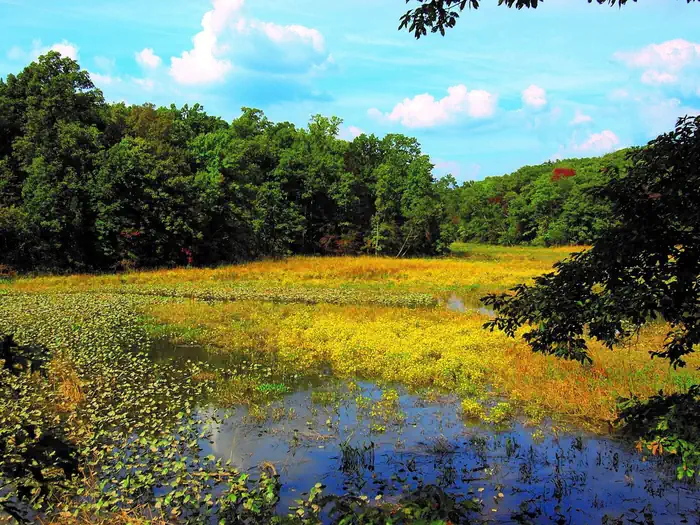 Elizabeth Hartwell Mason Neck National Wildlife Refuge