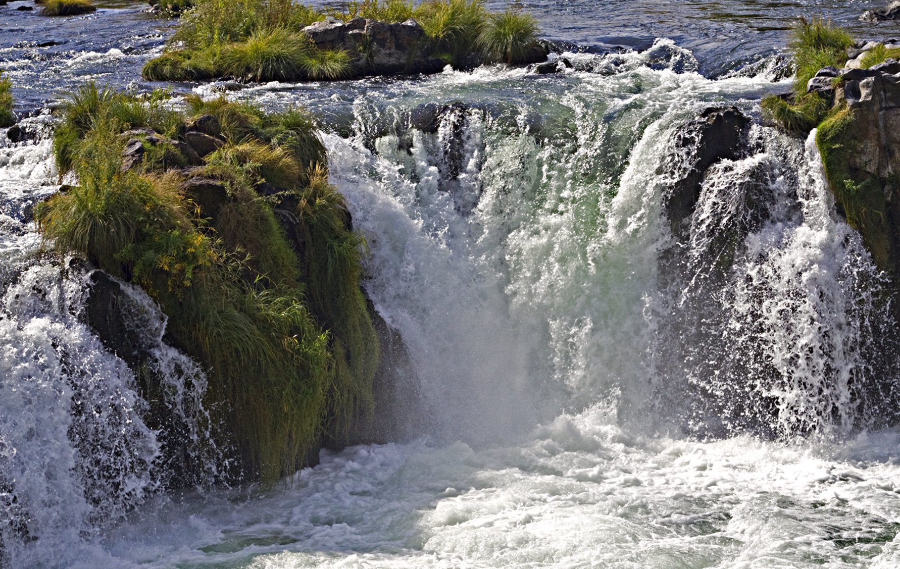 Steelhead Falls