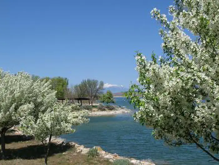 Springtime in Yuba