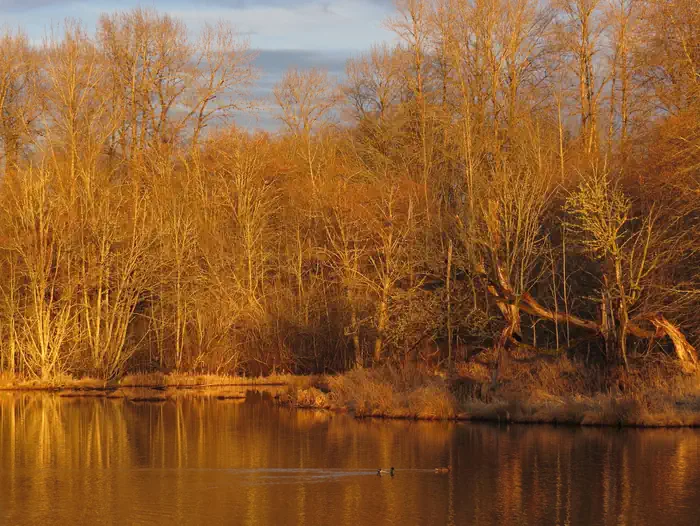 Billy Frank Jr. Nisqually National Wildlife Refuge