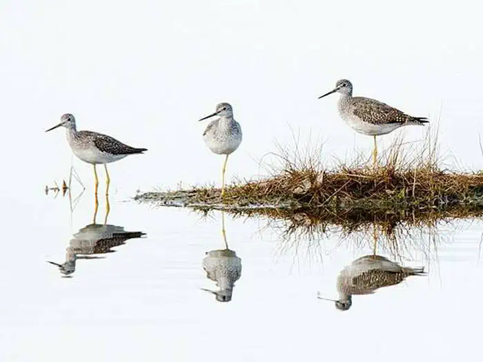 Parker River National Wildlife Refuge
