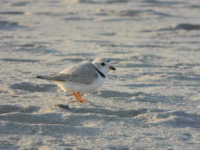 Rachel Carson National Wildlife Refuge