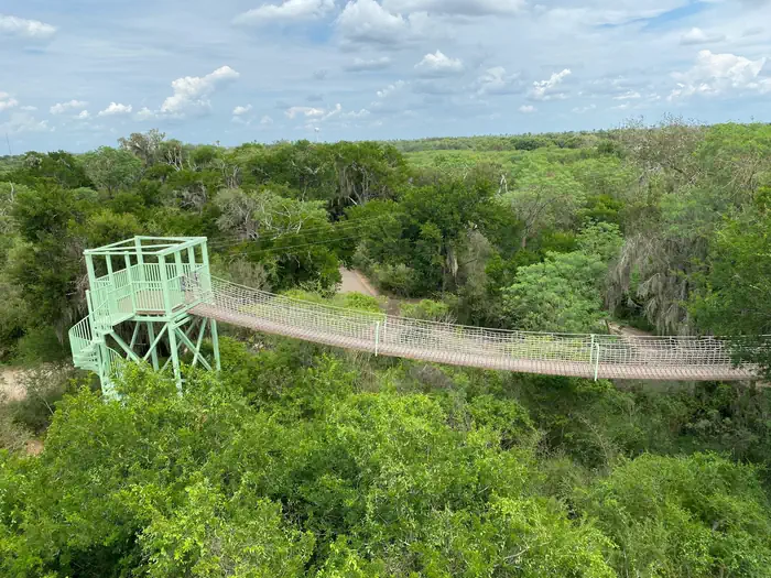 A skyline view of a green wooded area with a suspended walking bridge at tree level connecting to a high rise platform