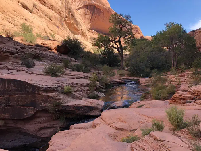 Moab Pic Sunset