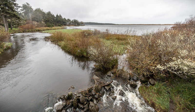 View of Floras Lake at the southern portion of New River Area of Critical Environmental Concern