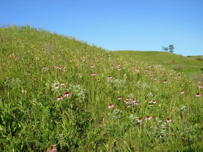 Upper Souris National Wildlife Refuge