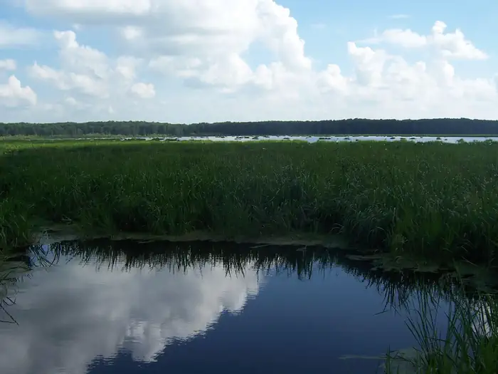 Wapanocca National Wildlife Refuge