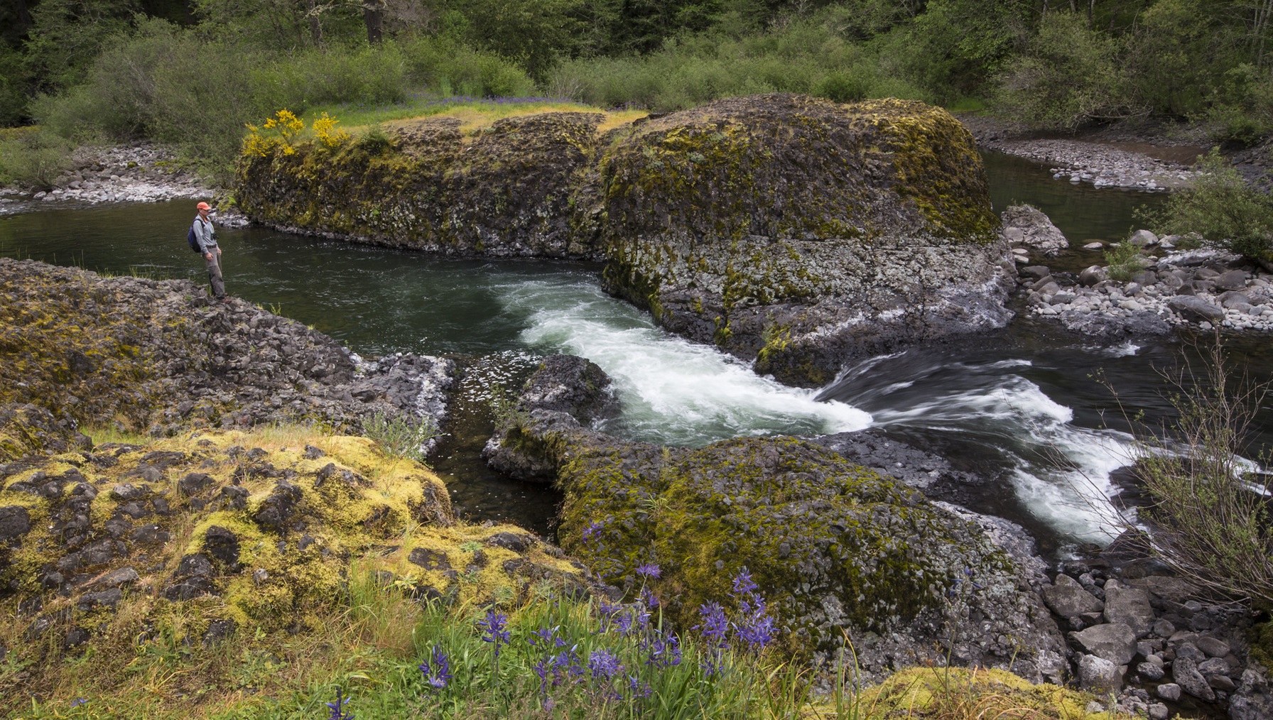 Molalla River