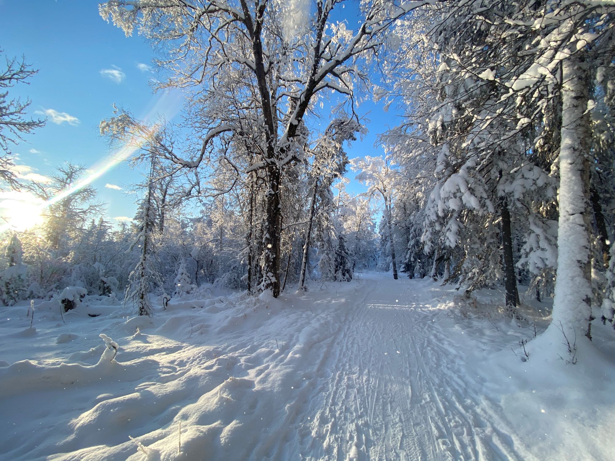 BLM Campbell Tract in the Winter