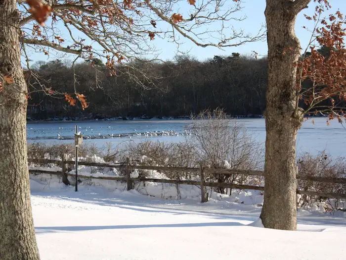 Wertheim National Wildlife Refuge