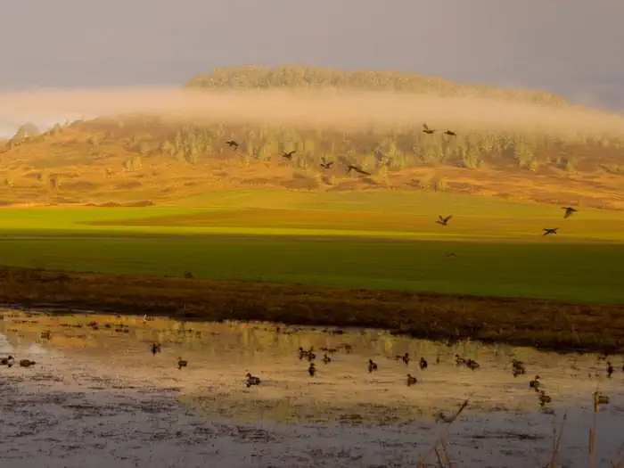 William L. Finley National Wildlife Refuge, OR