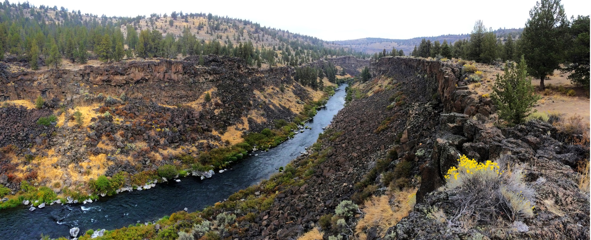 Incised basalt canyon of the Middle Deschutes River
