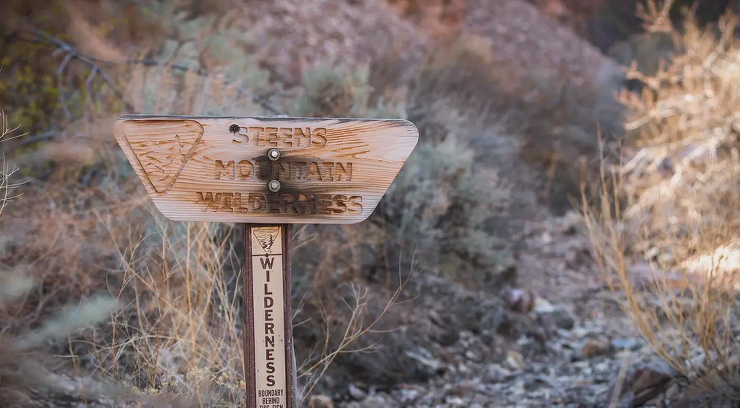 Wildhorse Creek Wild and Scenic River