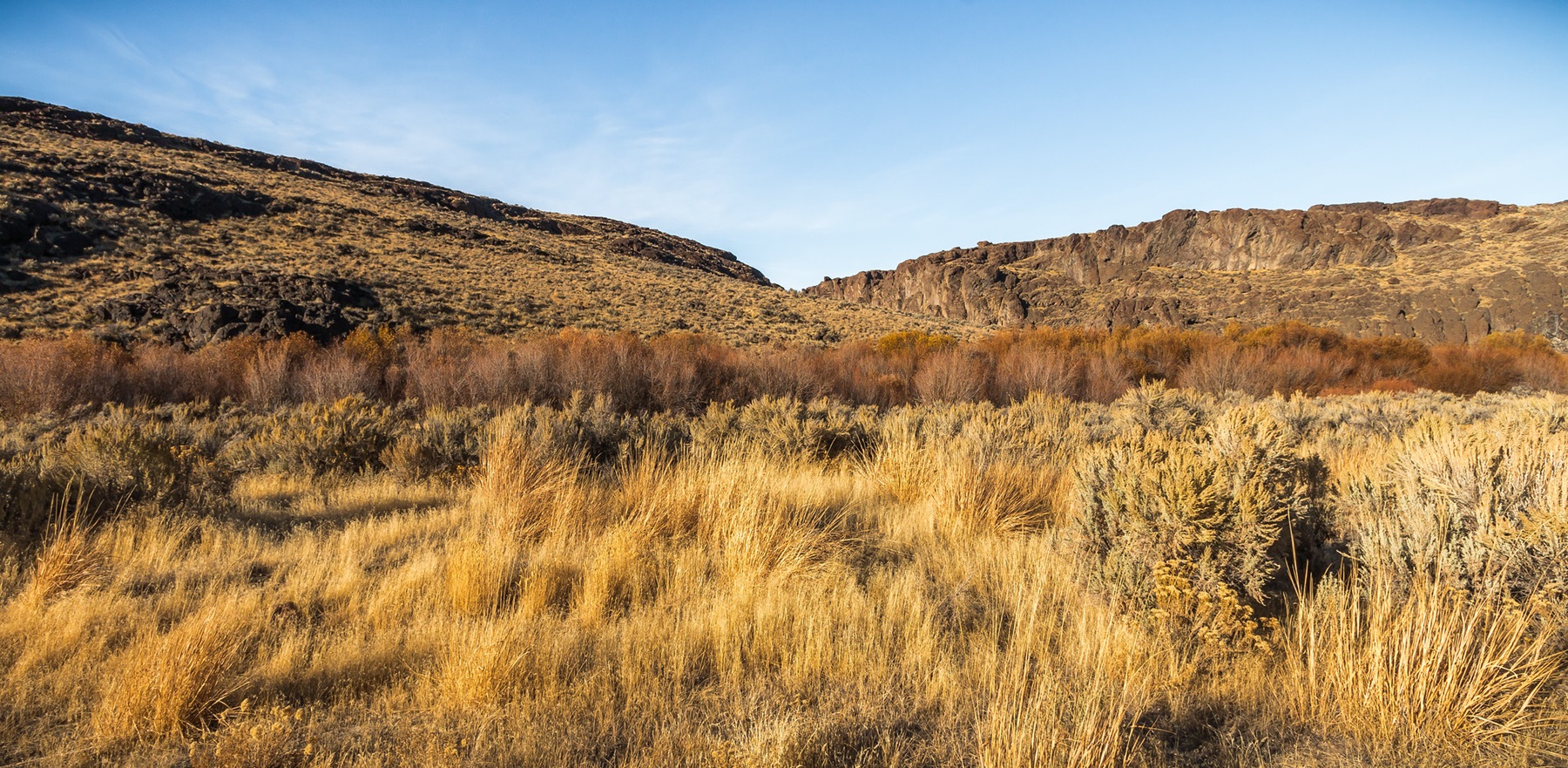 Willows marking the course of the West Little Owyhee River near Anderson Crossing
