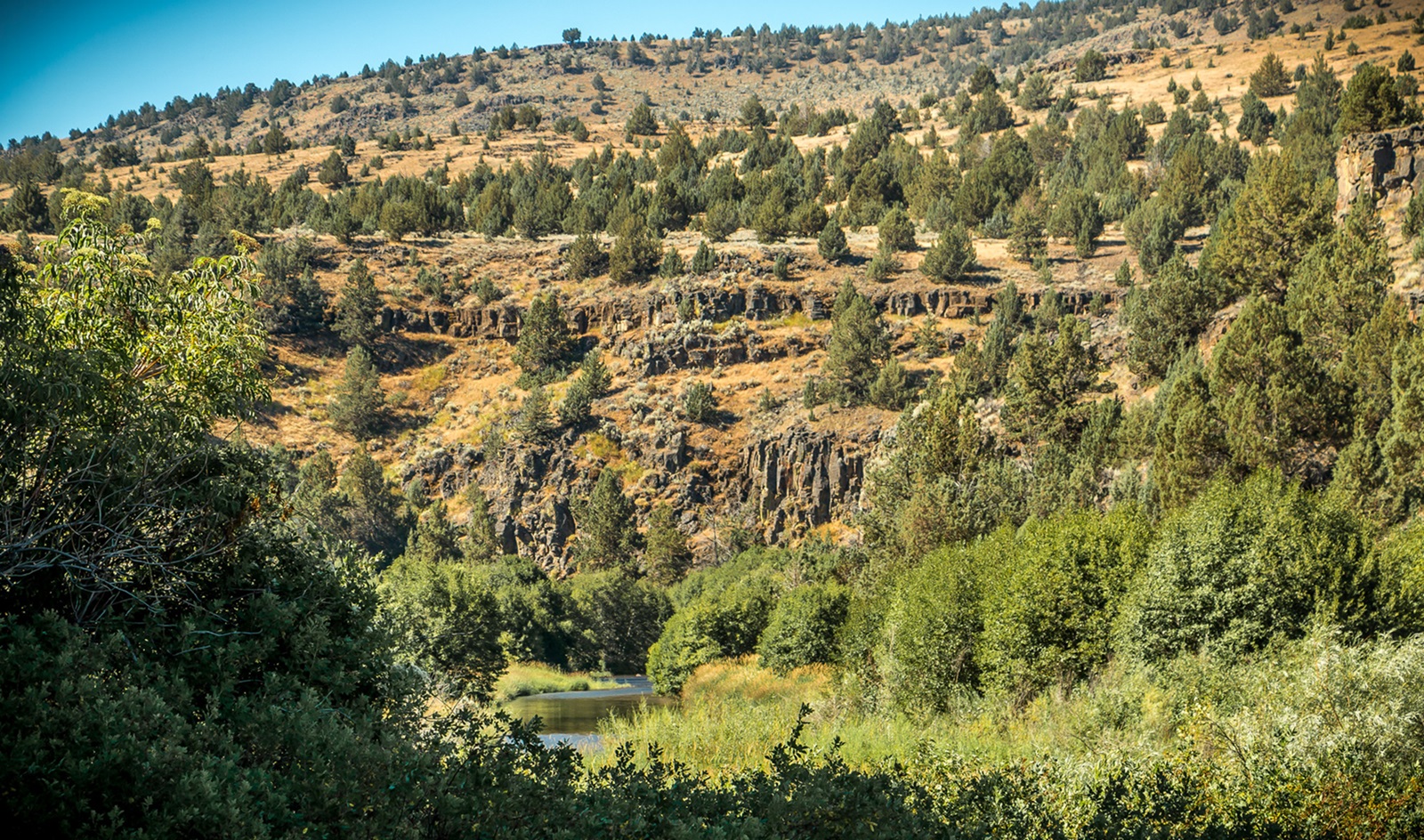 Donner und Blitzen Wild and Scenic River