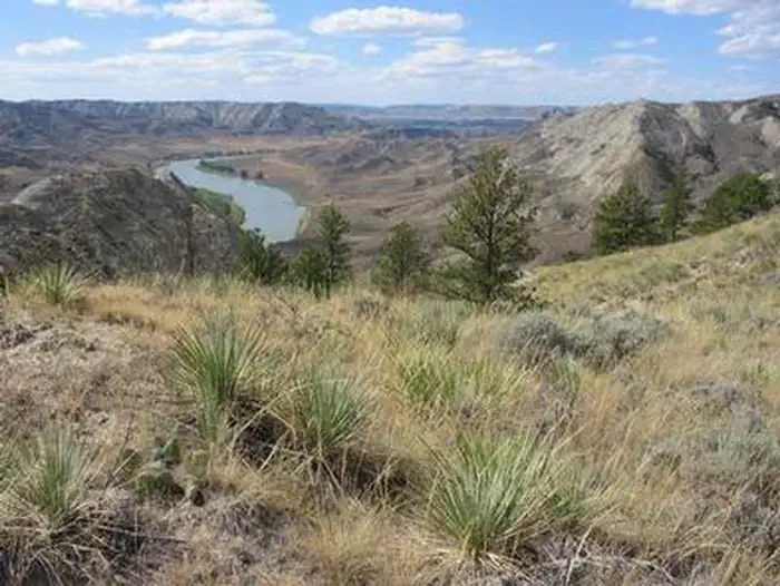 Dog Creek Area