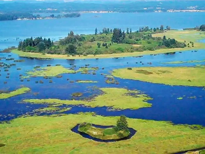 Fern Ridge lake aerial