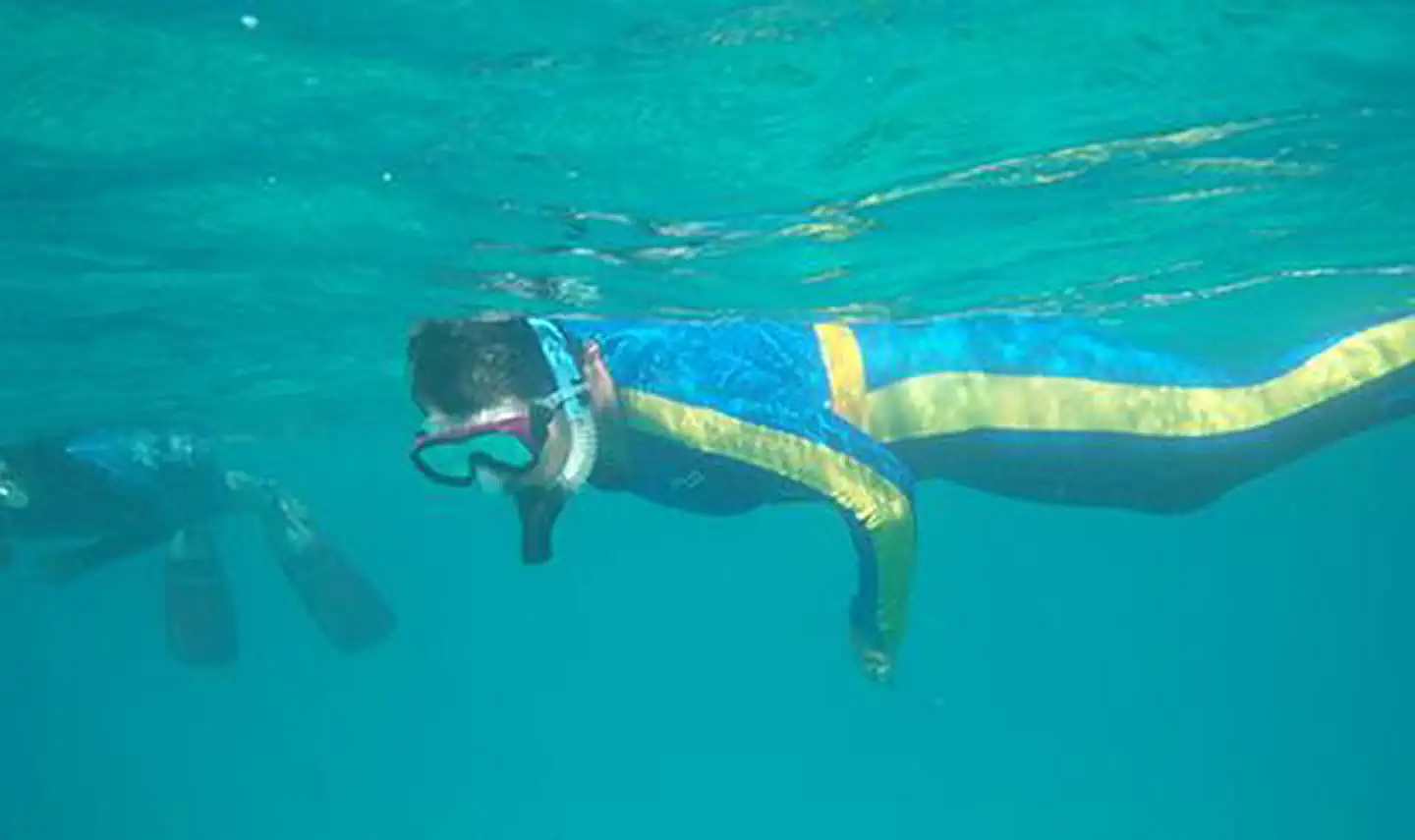 Snorkeling in the Florida Keys
