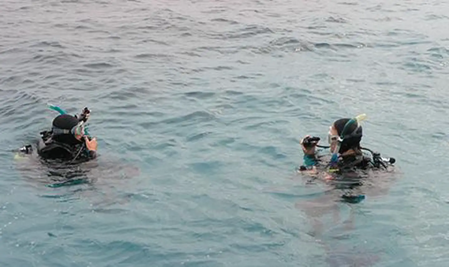 Two Divers