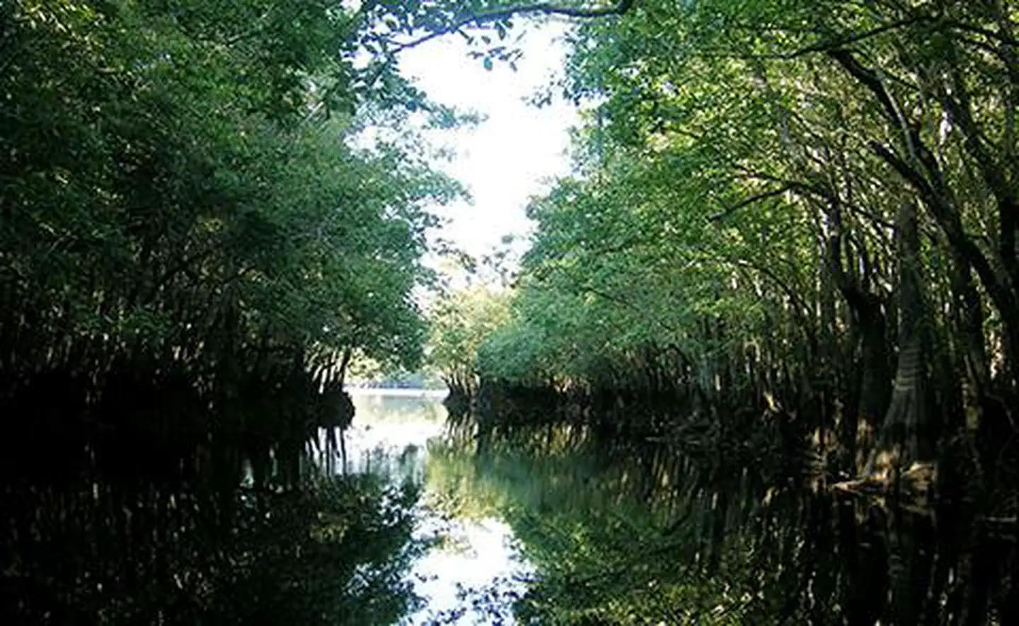 Owl Creek in Apalachicola National Estuarine Research Reserve, Florida