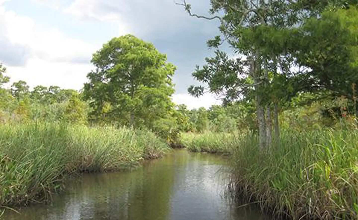 Apalachicola National Estuarine Research Reserve, Florida