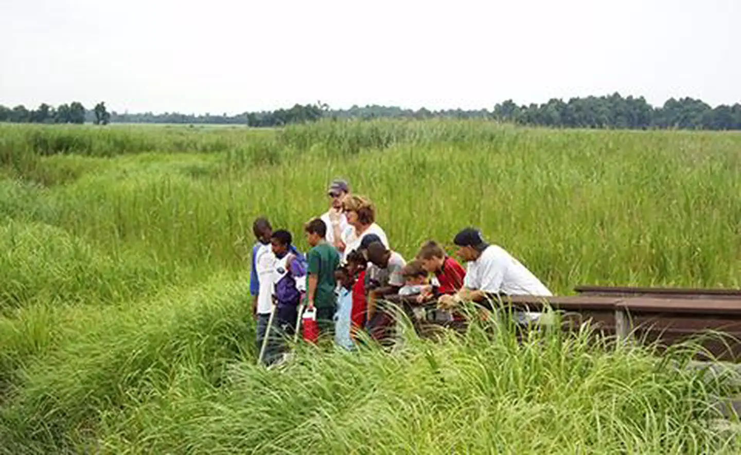 Children on the boardwalk observing wildlife at the Delaware National Estuarine Research Reserve, Delaware