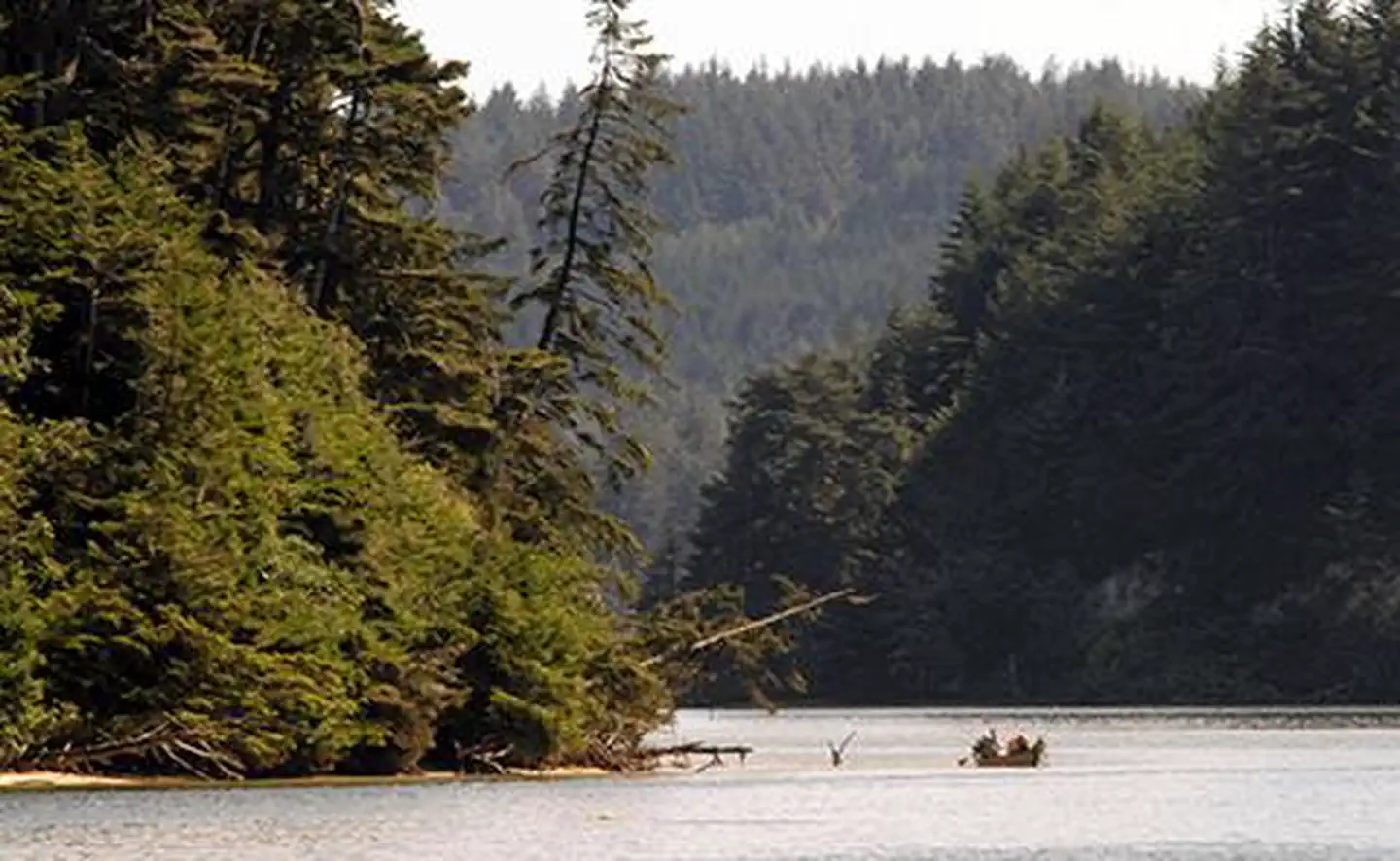 Chmoosh paddling in South Slough National Estuarine Research Reserve, Oregon