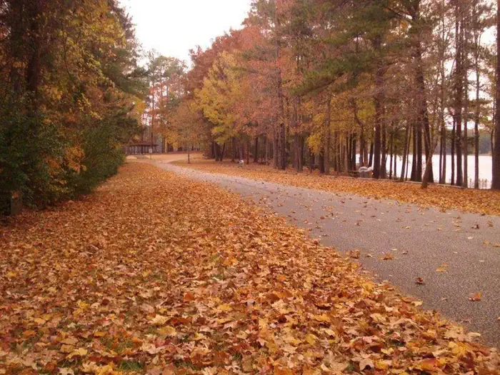 This is why they call it fall