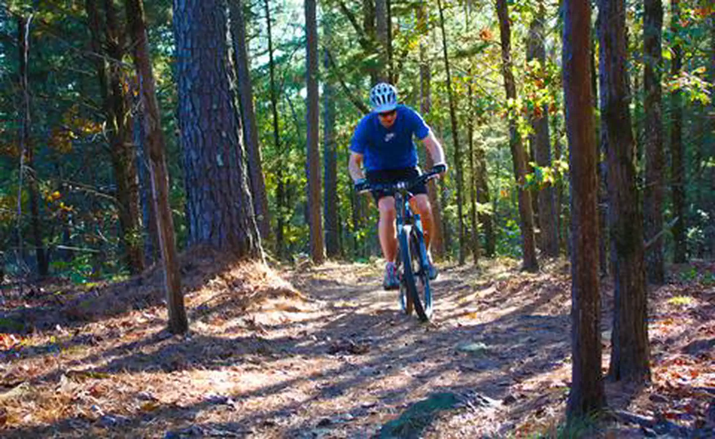 mountain biker on a trail
