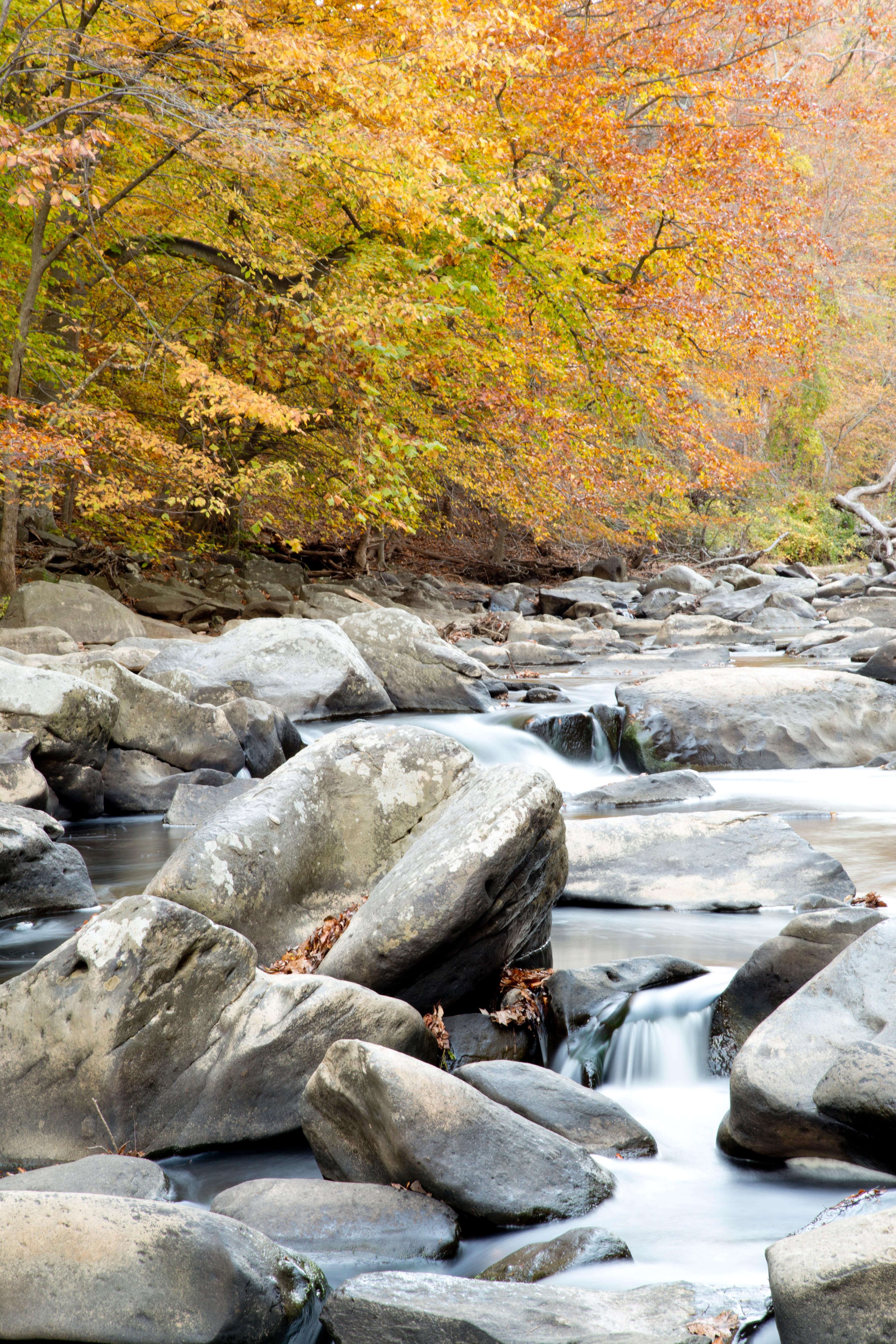 Water swirls around large boulders in a creek. Trees in autumn colors line the bank