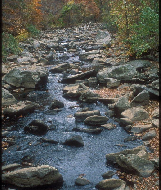 Dark boulders scattered through a narrow creek. Green trees rise up on either bank.